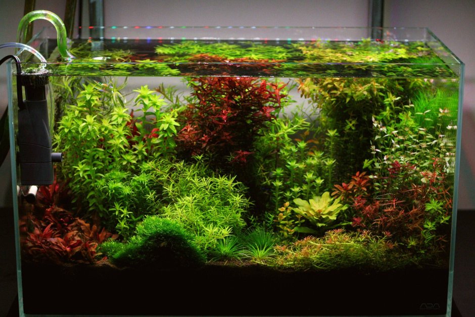 Аквариум 80 литров Аквадизайн