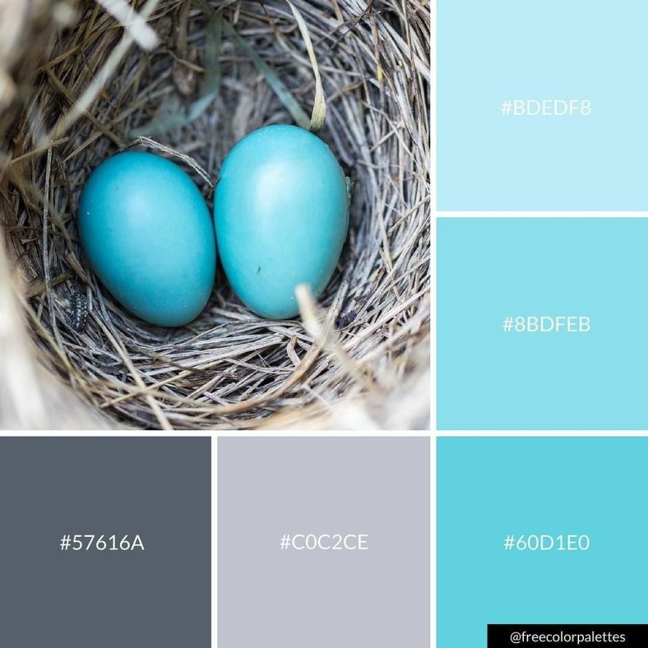 Цвет Тиффани палитра