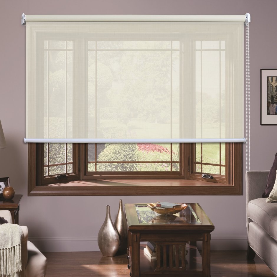 Рулонные шторы Эклипс