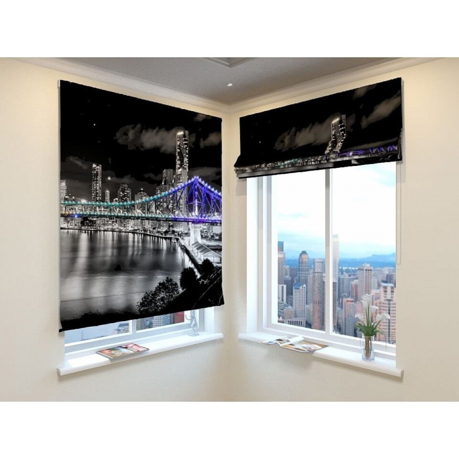 Рулонная штора Rollo Zebra