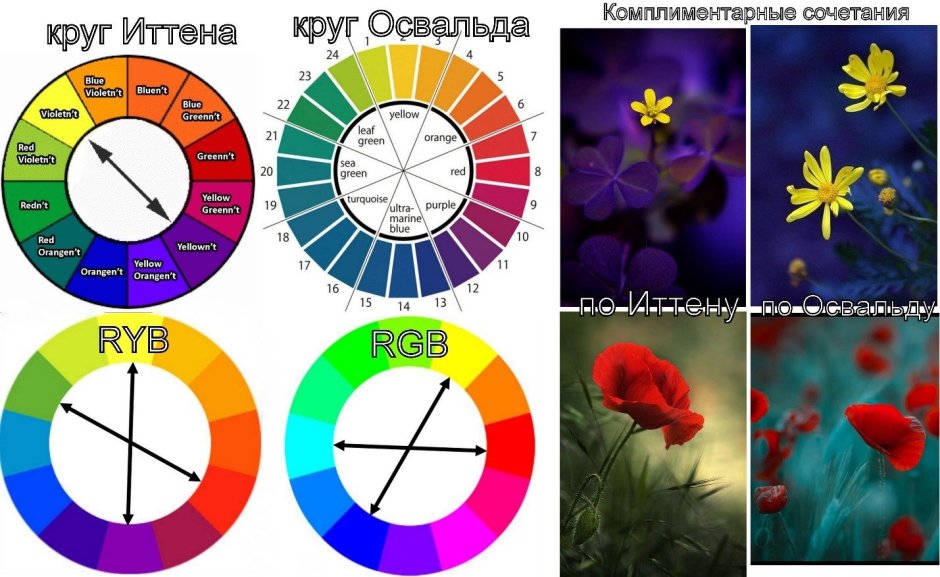 Комплиментарные цвета