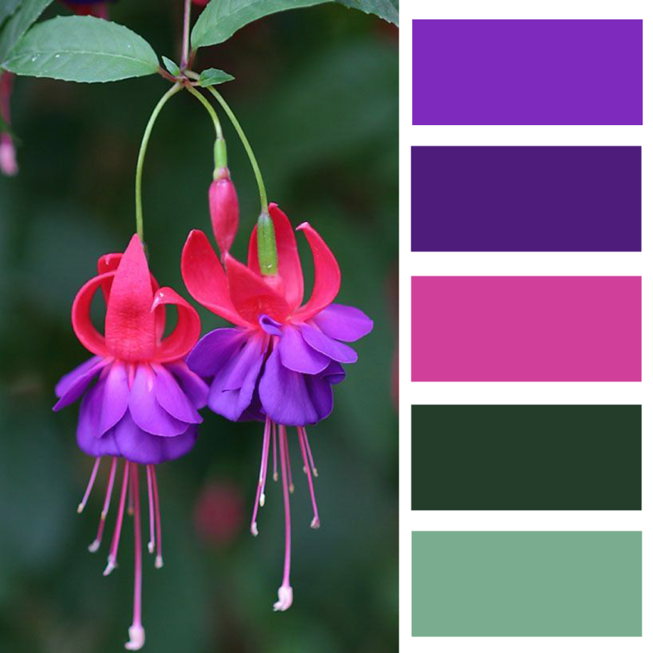 Гармоничные сочетания цветов