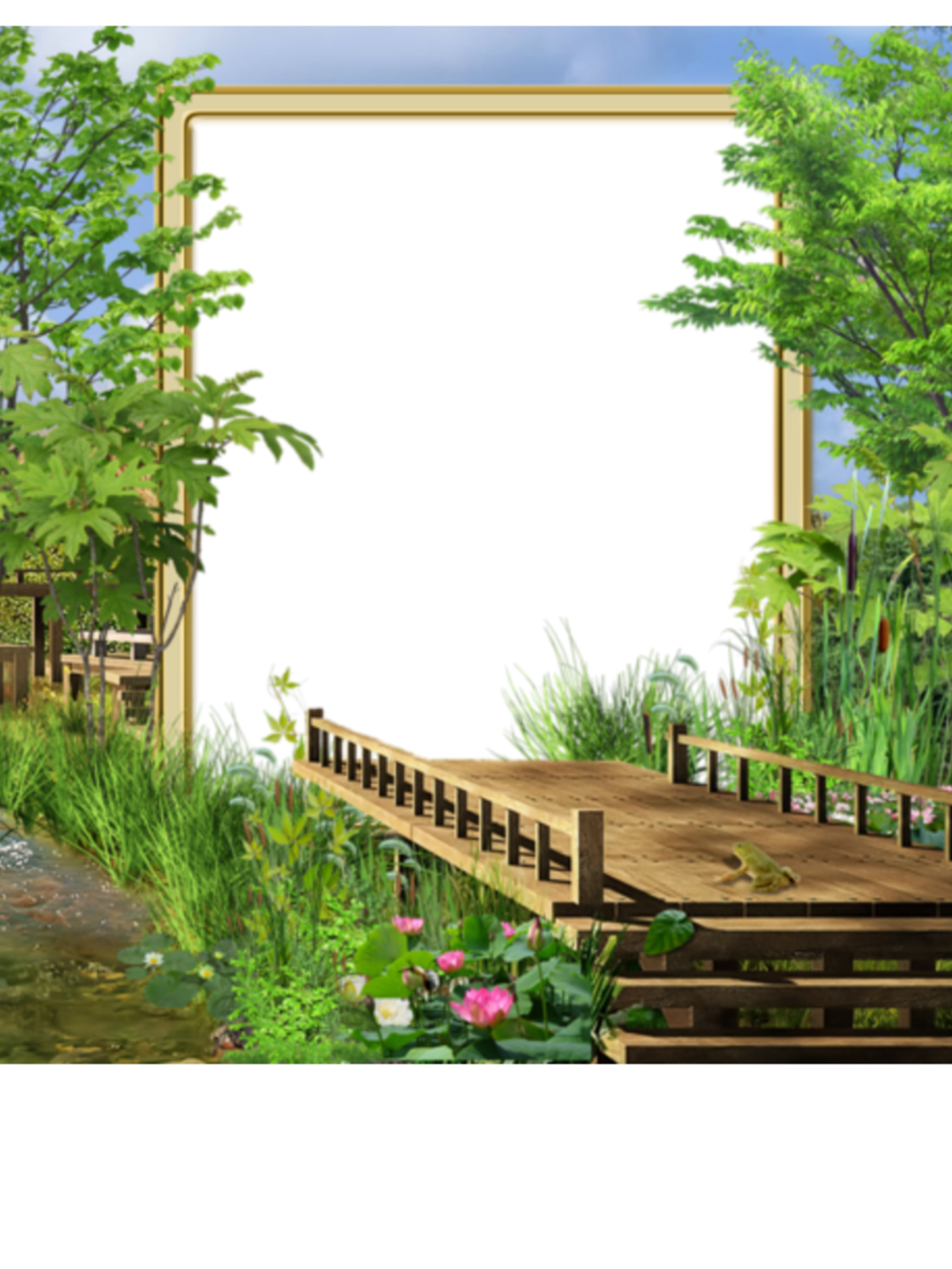 Фоторамка природа