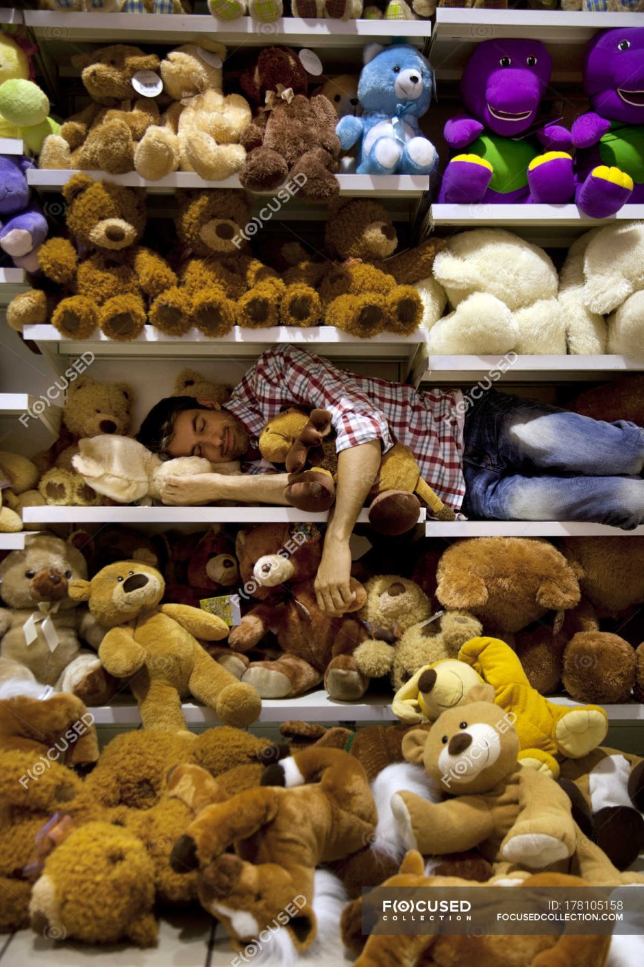 Выкладка мягких игрушек