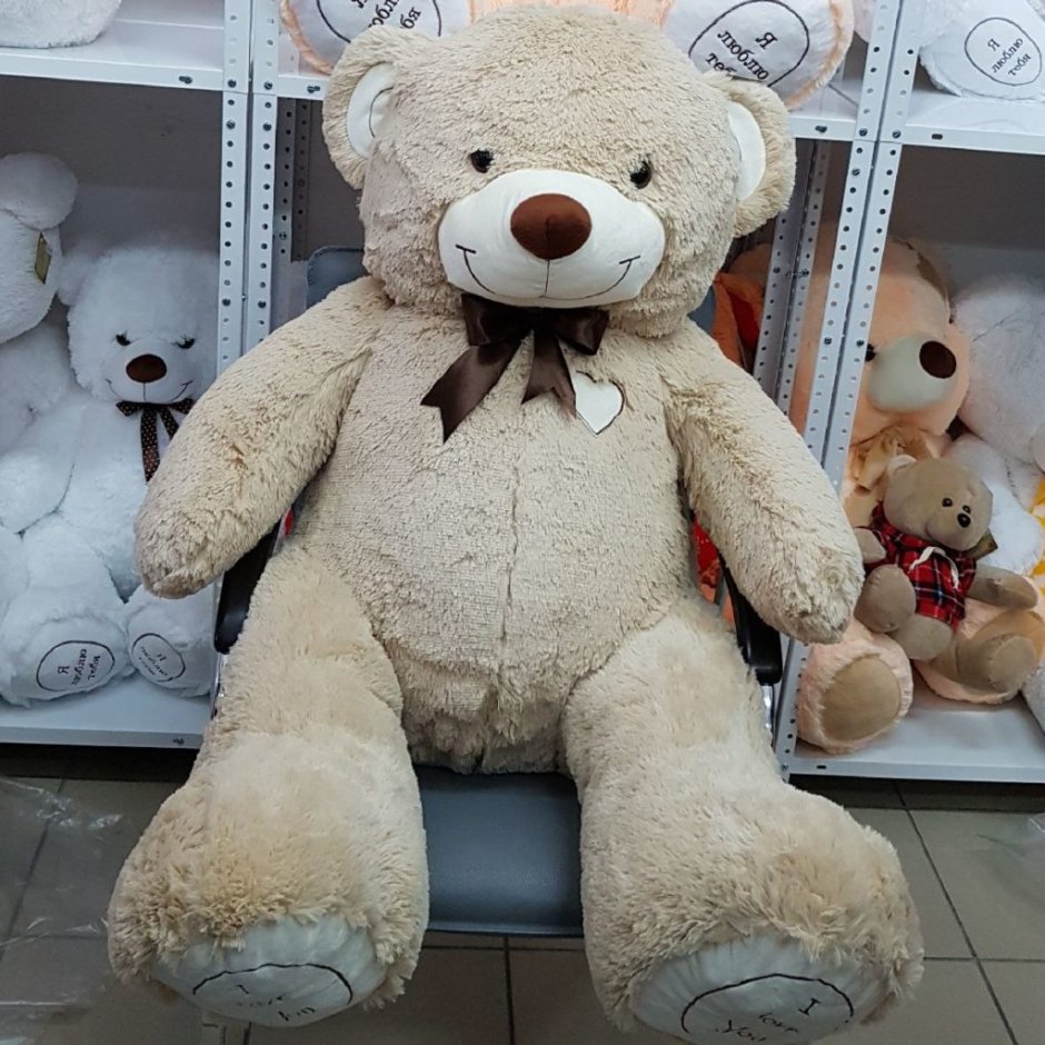 Магазин плюшевых игрушек