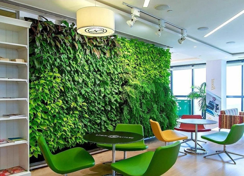 Цветы в интерьере квартиры