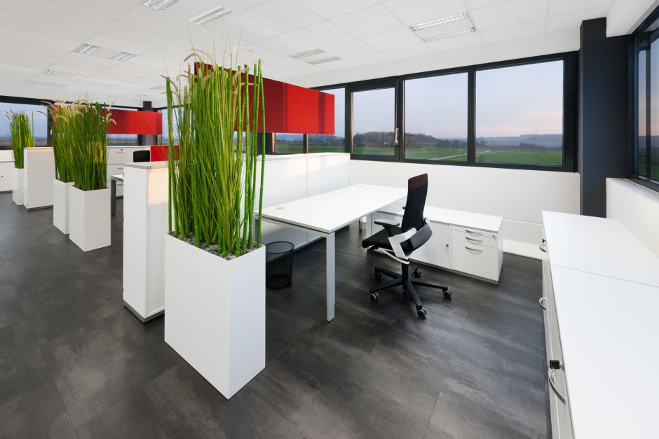 Интерьер офиса