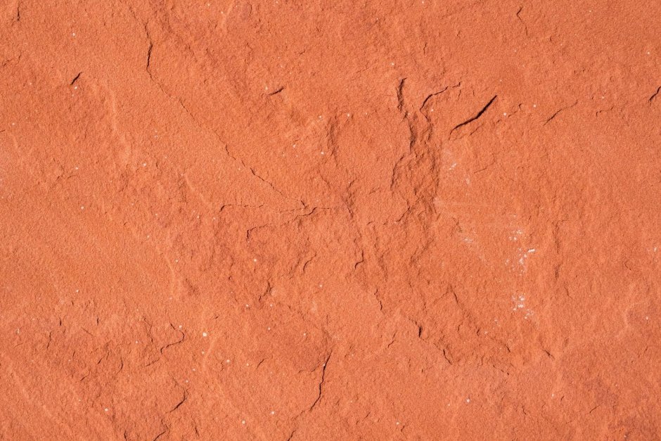 Сочетание цветов в одежде