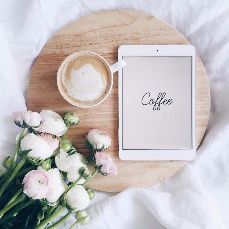 Рамка для фотошопа лес