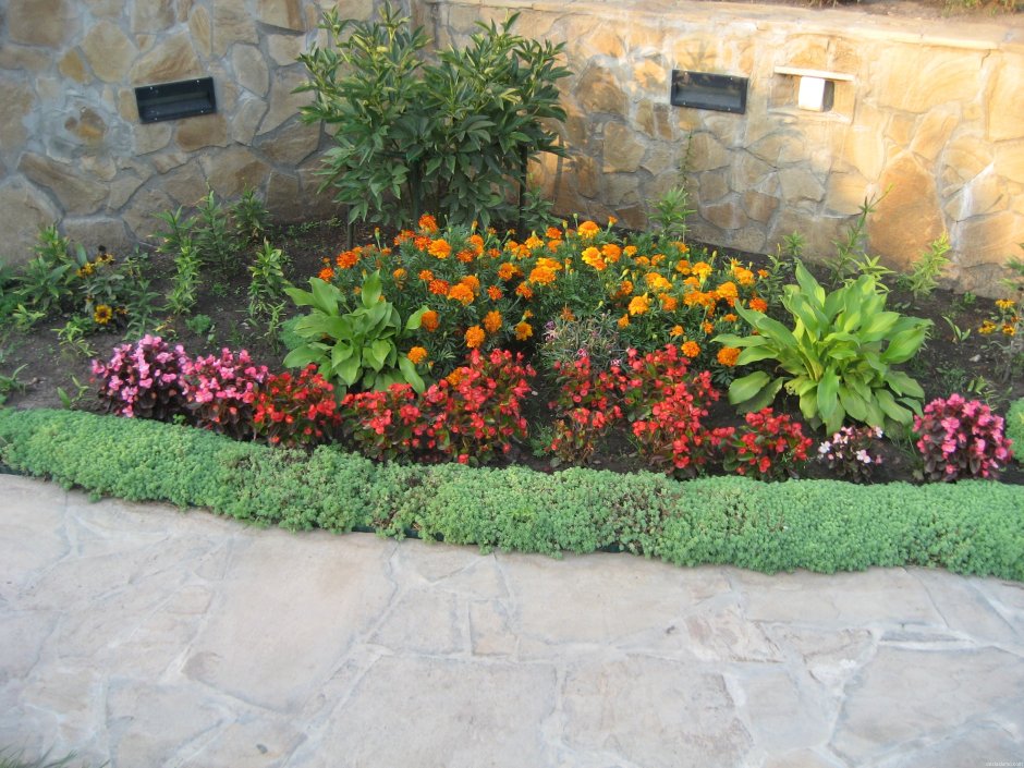 Гацания на клумбе