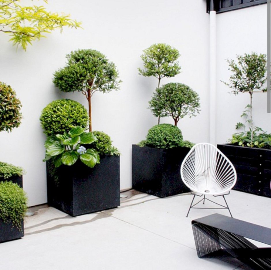 Гарденс плантс