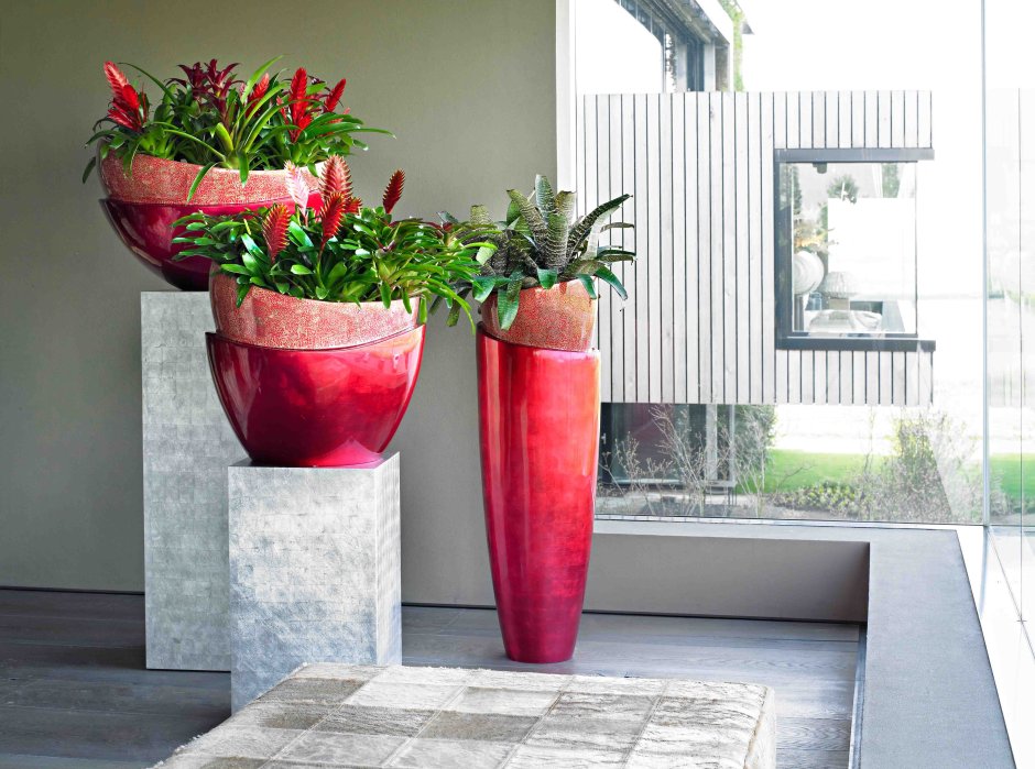 Необычные горшки для комнатных растений