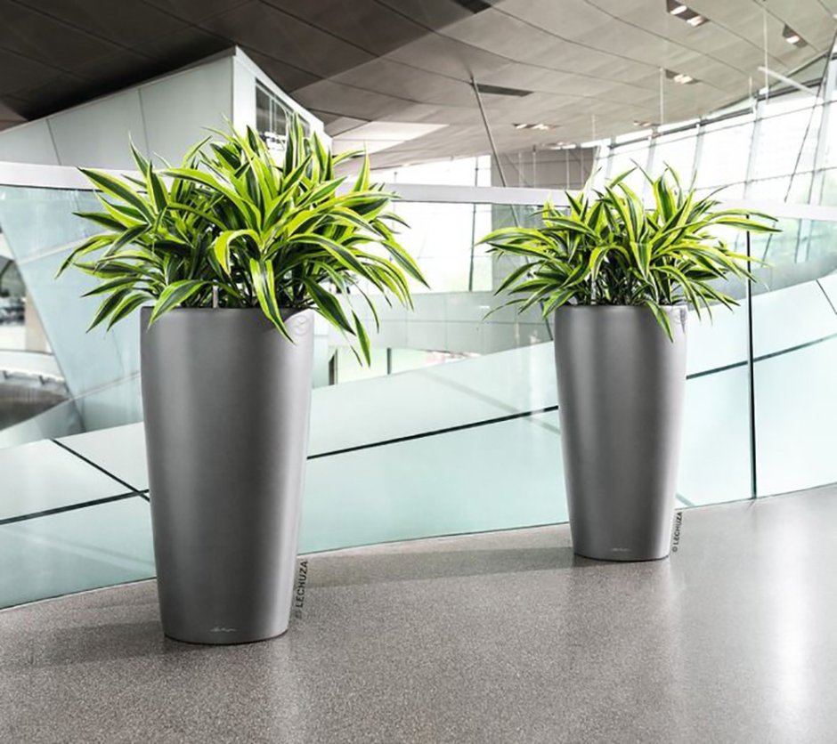 Лечуза Рондо 40