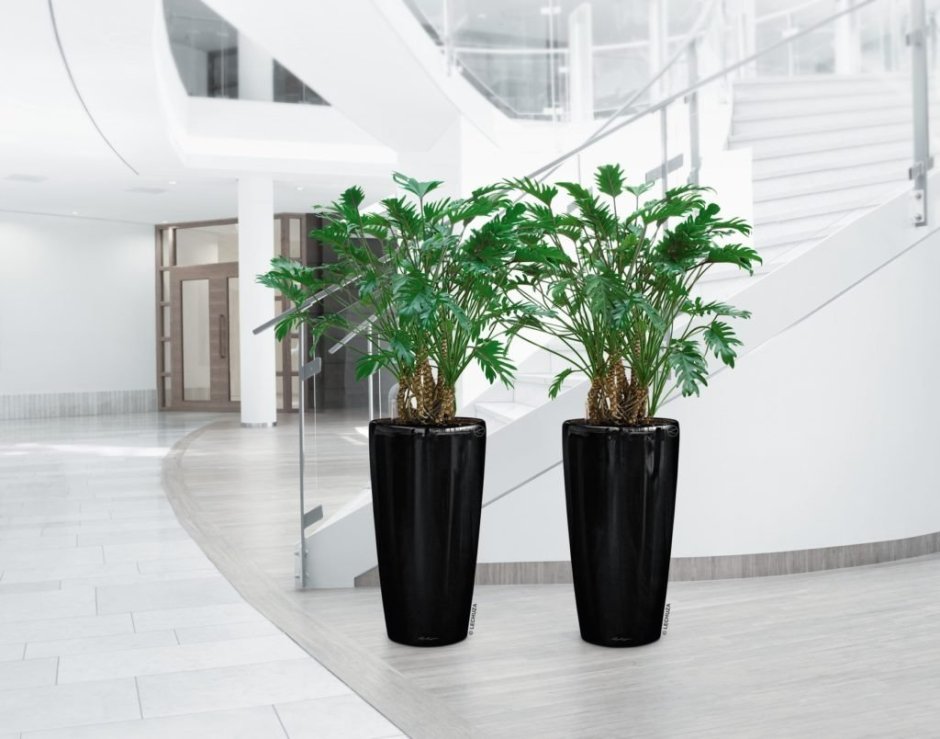 Кашпо Лечуза Рондо черное