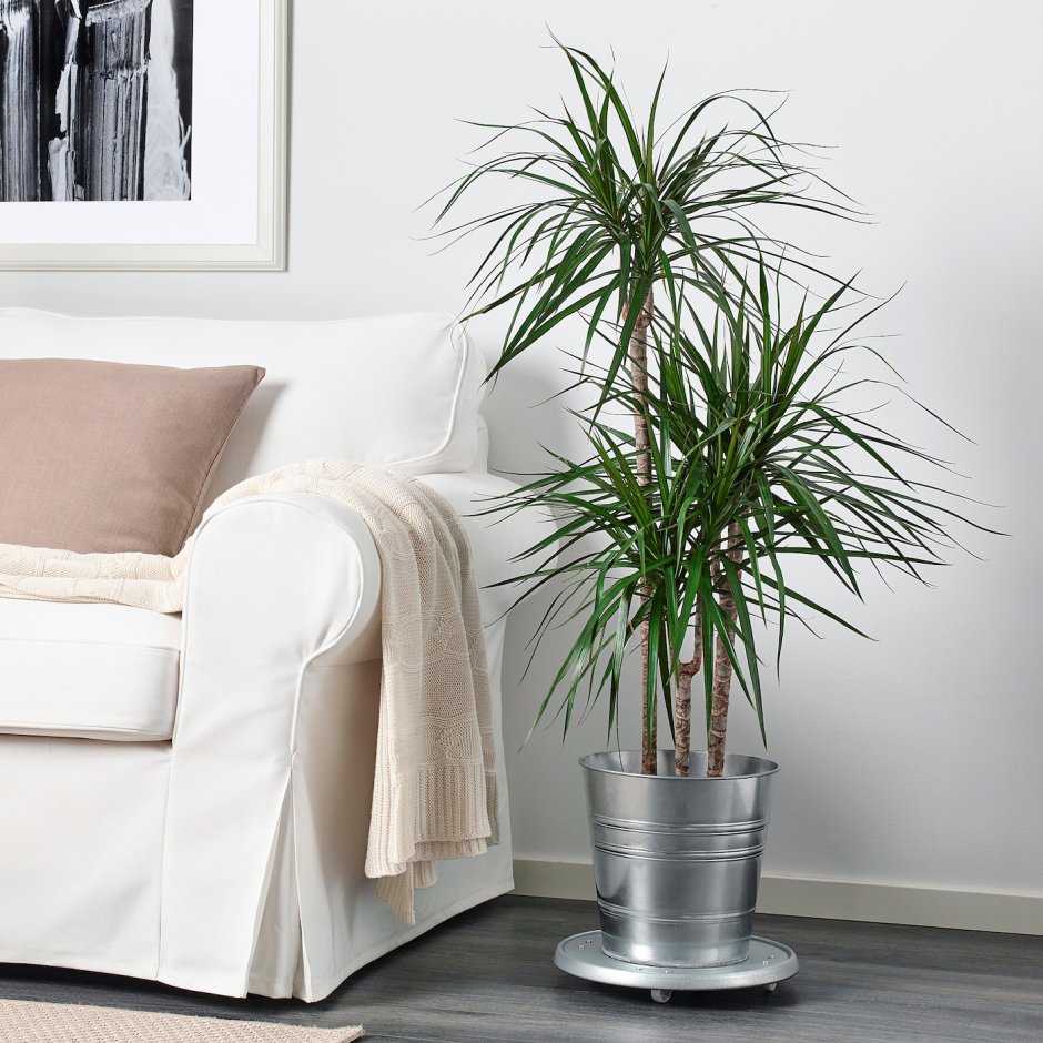 Кашпо СОККЕР