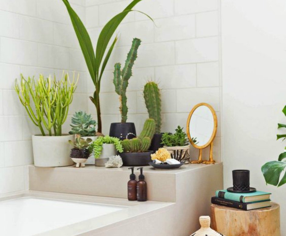 Чистый туалет