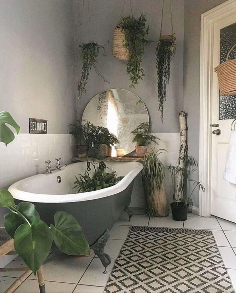 Цветы в ванной комнате для декора