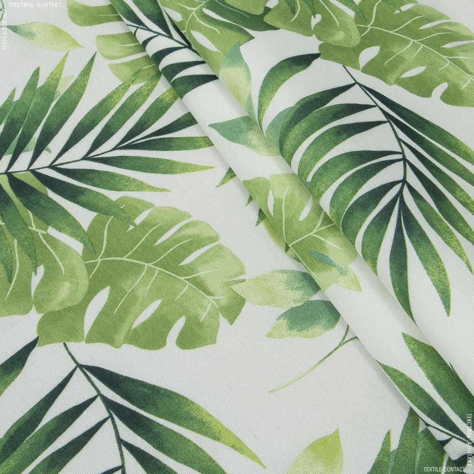 Тропические пальмовые листья фон