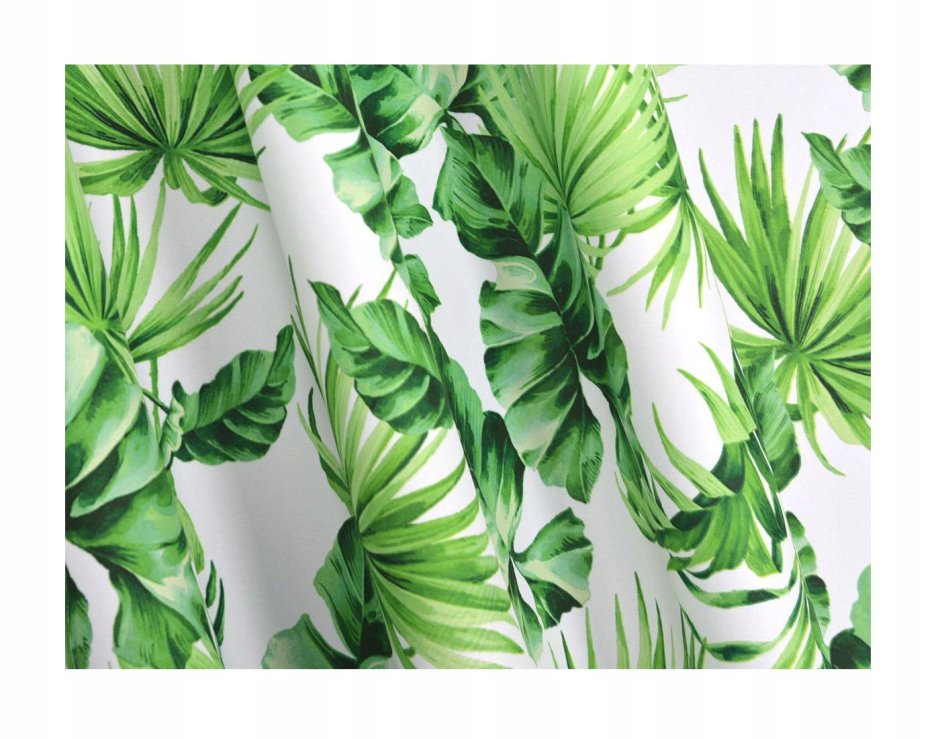 Занавески с папоротником