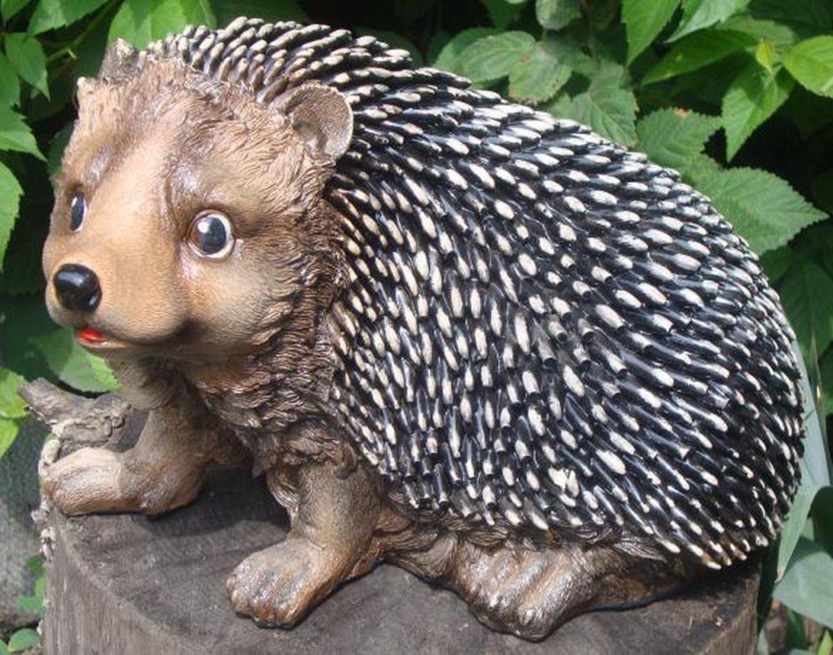 Еж в саду