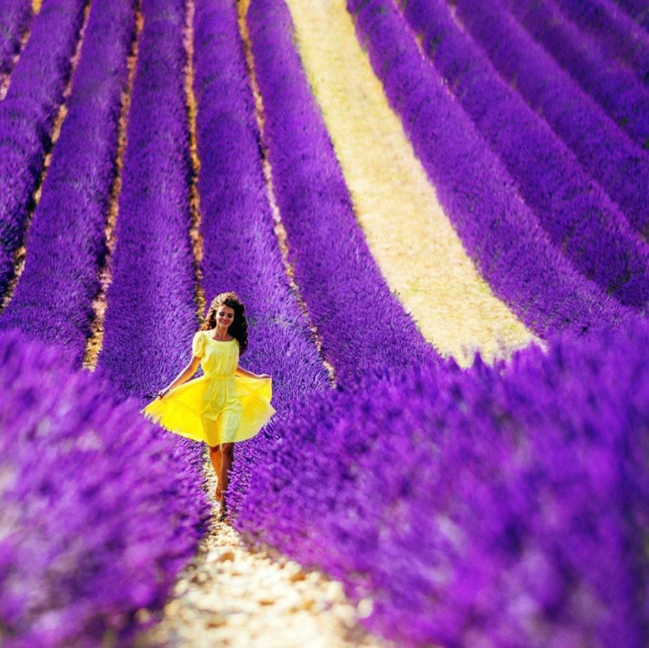 НК-Анютины глазки