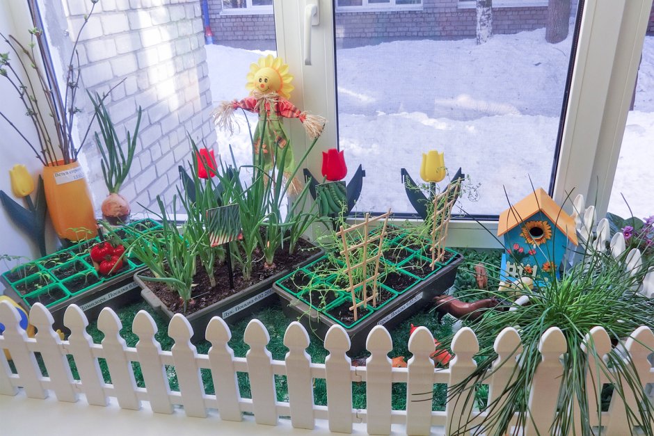Огород на подоконнике в детском саду оформление