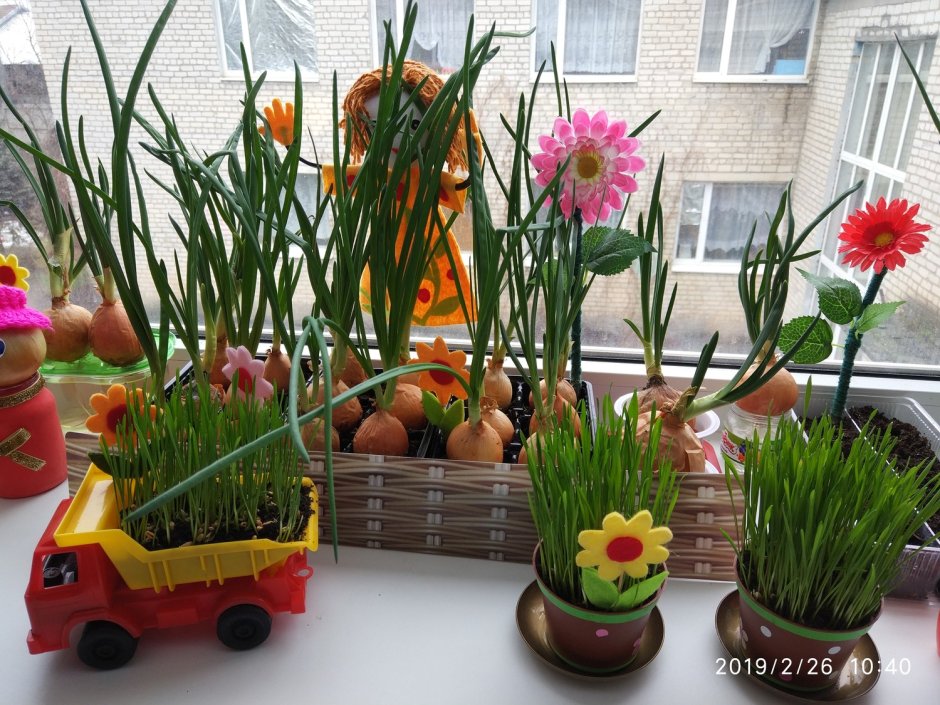 Весенний огород в детском саду