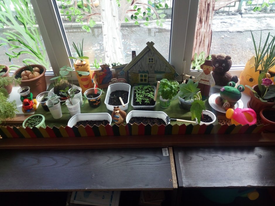 Рассада на окне в детсаду