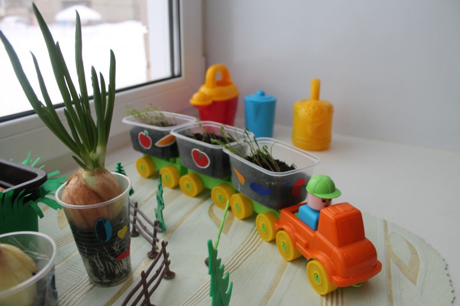 Луковица для детского сада