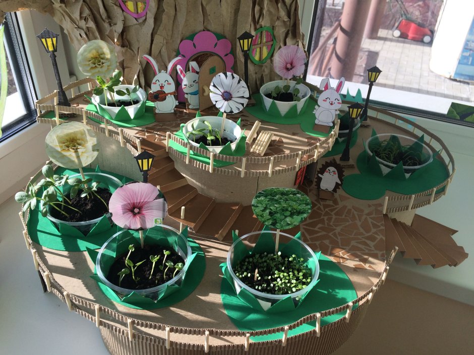 Сад на подоконнике для детей