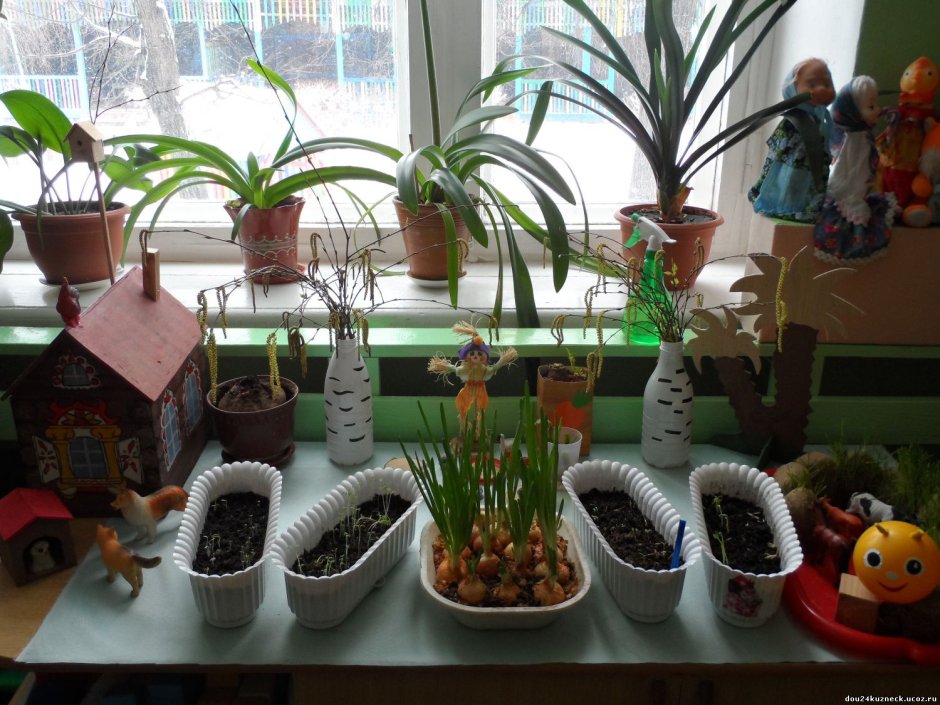 Огород на подоконнике