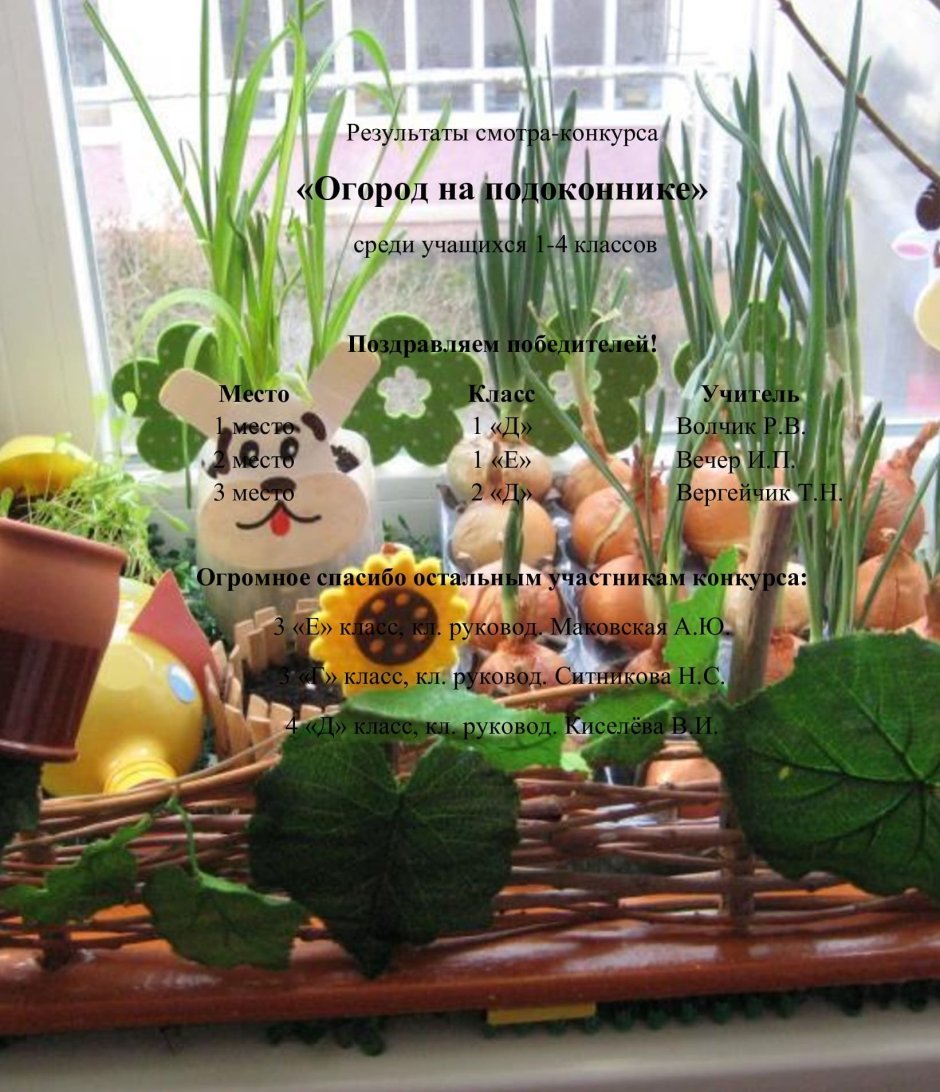 Огород на окне в яичной скорлупе