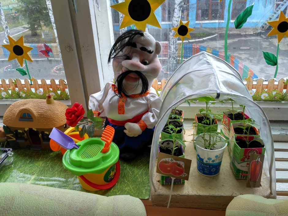 Огород на окне в детском саду