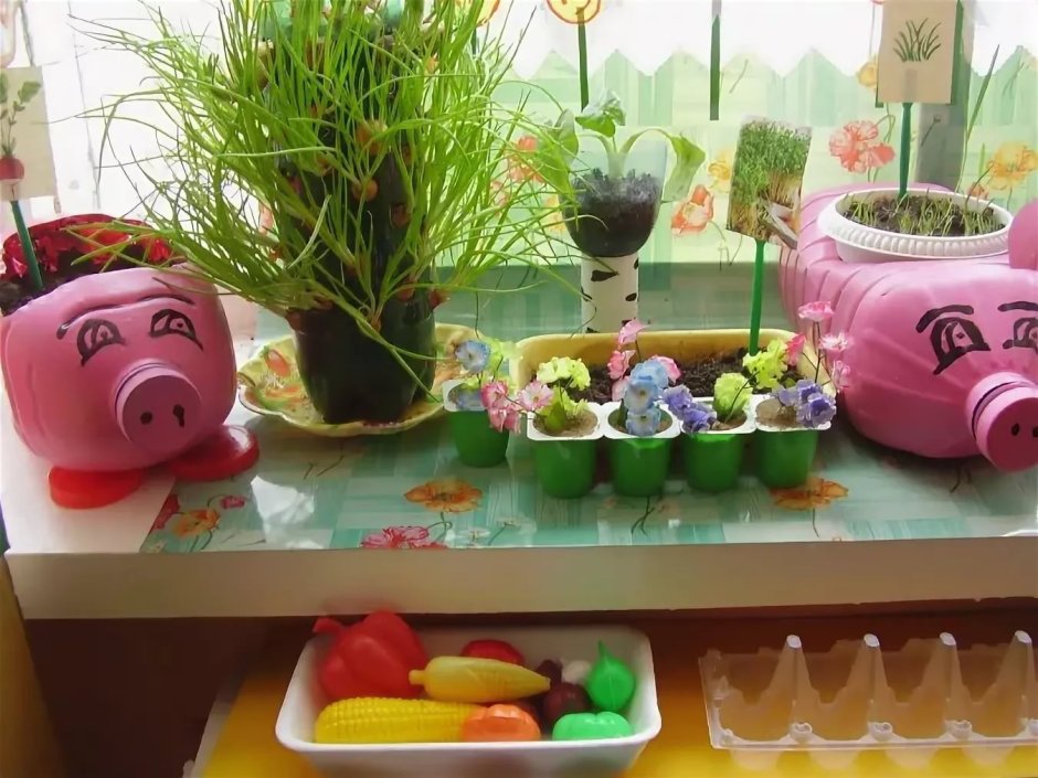 Огород на подоконникемв детском саду