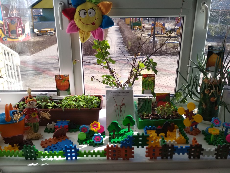 Огород на подоконнике