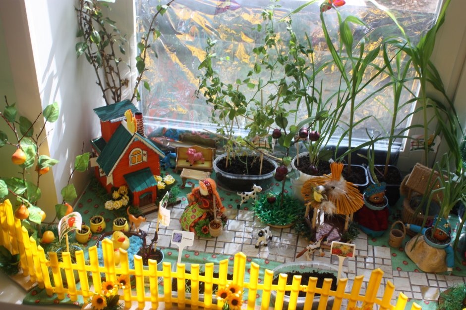 Огород на окне в детском саду джунгли