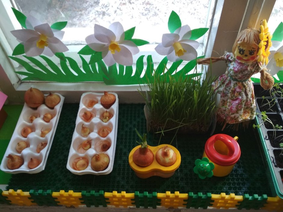 Огород на подоконнике в детском саду