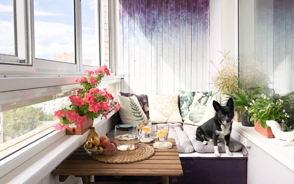 Балкон застекленный и котик