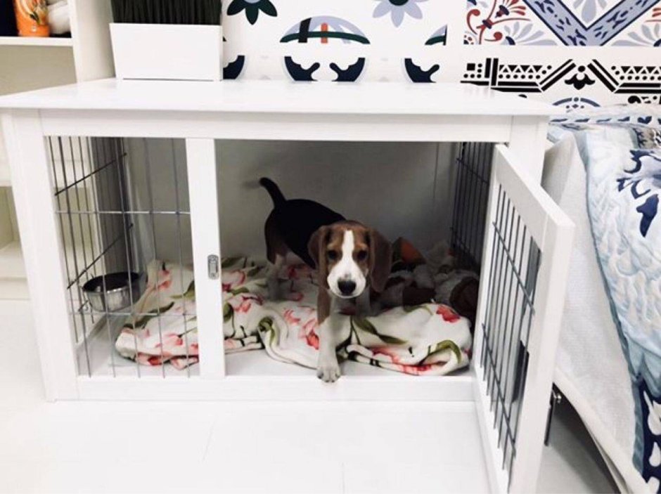 Собачья будка для Джек Рассел терьера