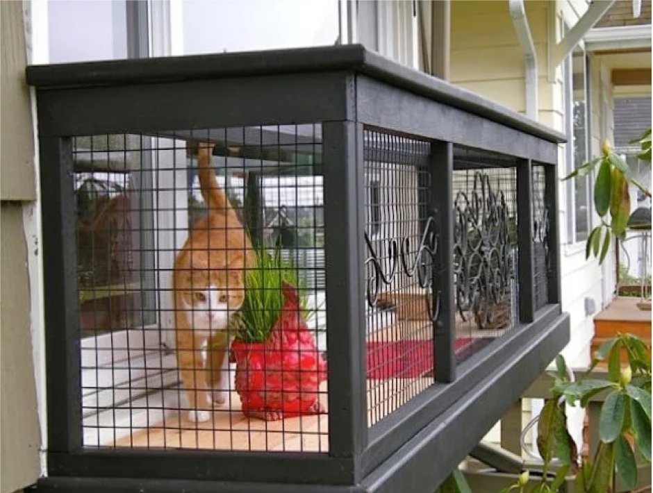 Катио вольер для кошки