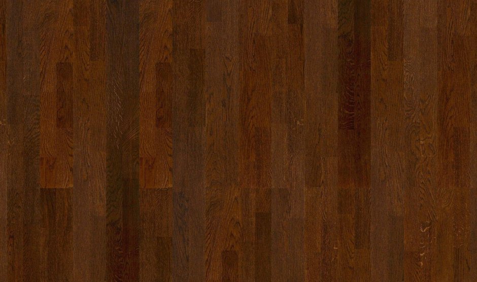 Дуб Кордоба цвет