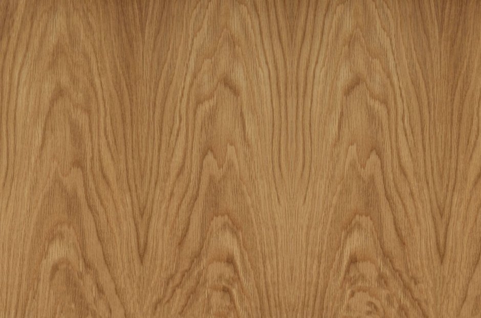 Дуб американский кедр