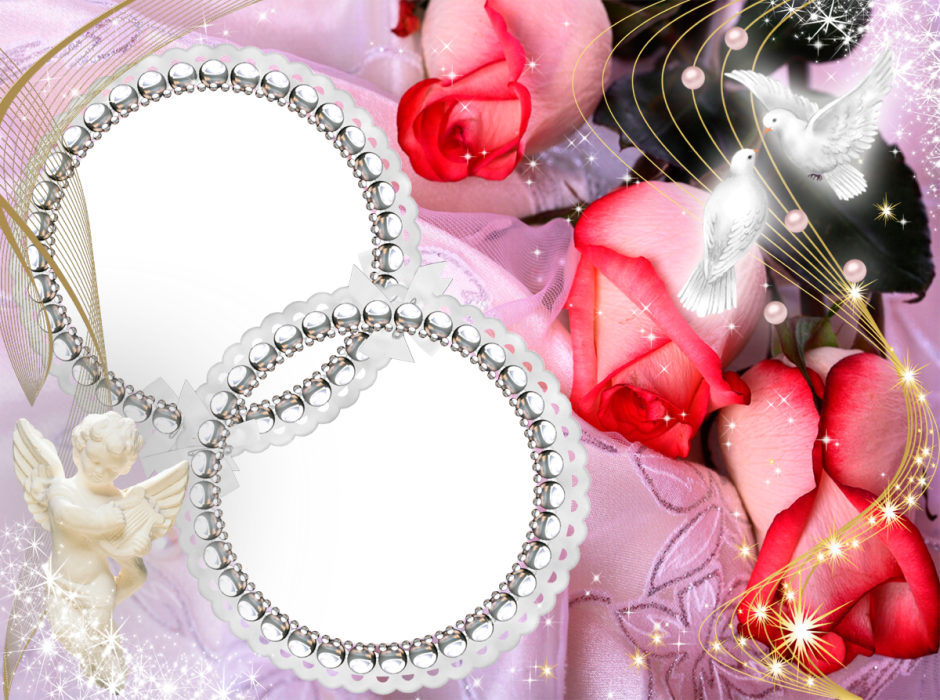 Рамка с голубями