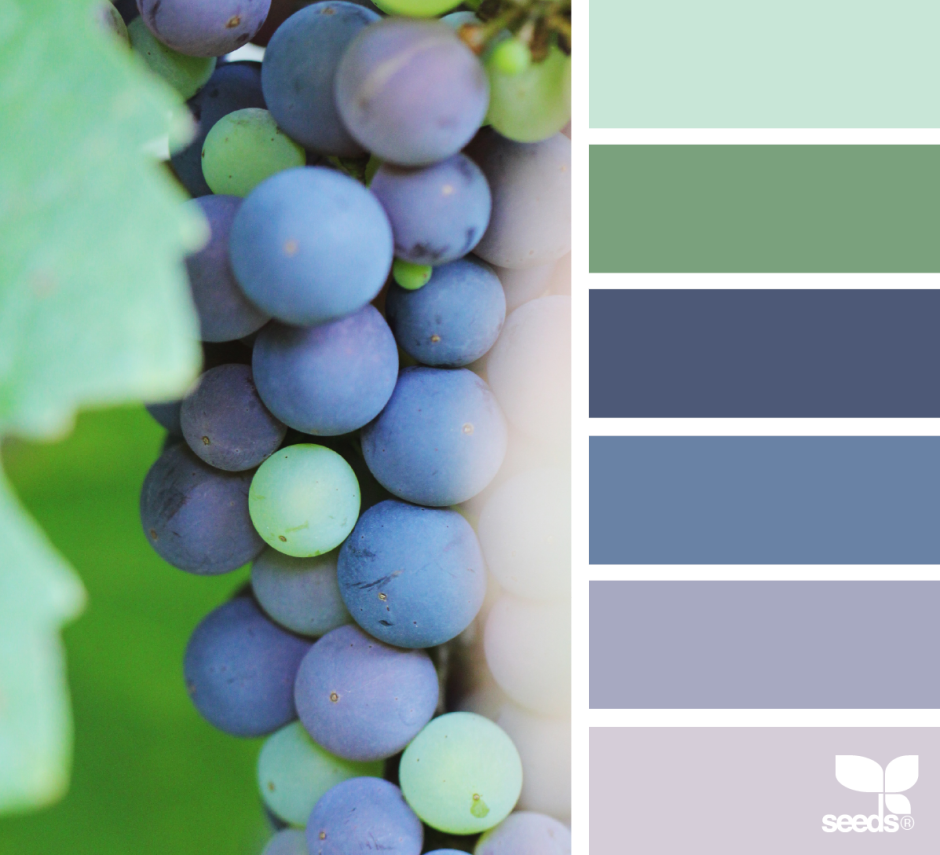 Цветовая палитра сочетание