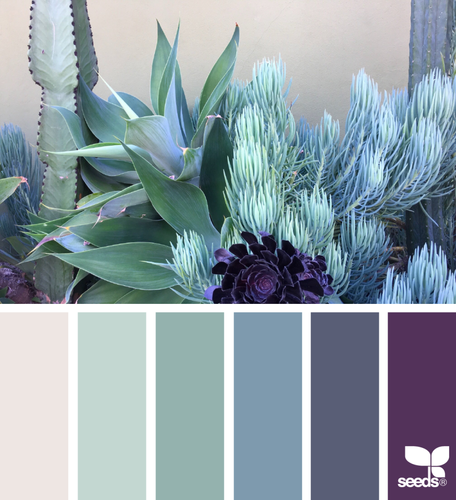 Темно-синий сочетание цветов