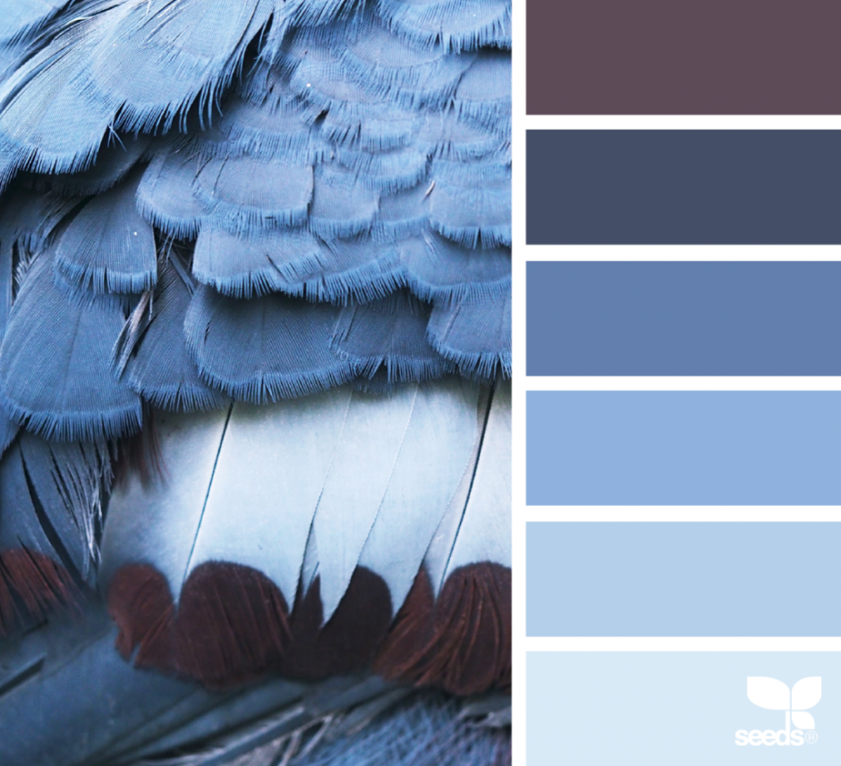 Подборка цветов в одежде