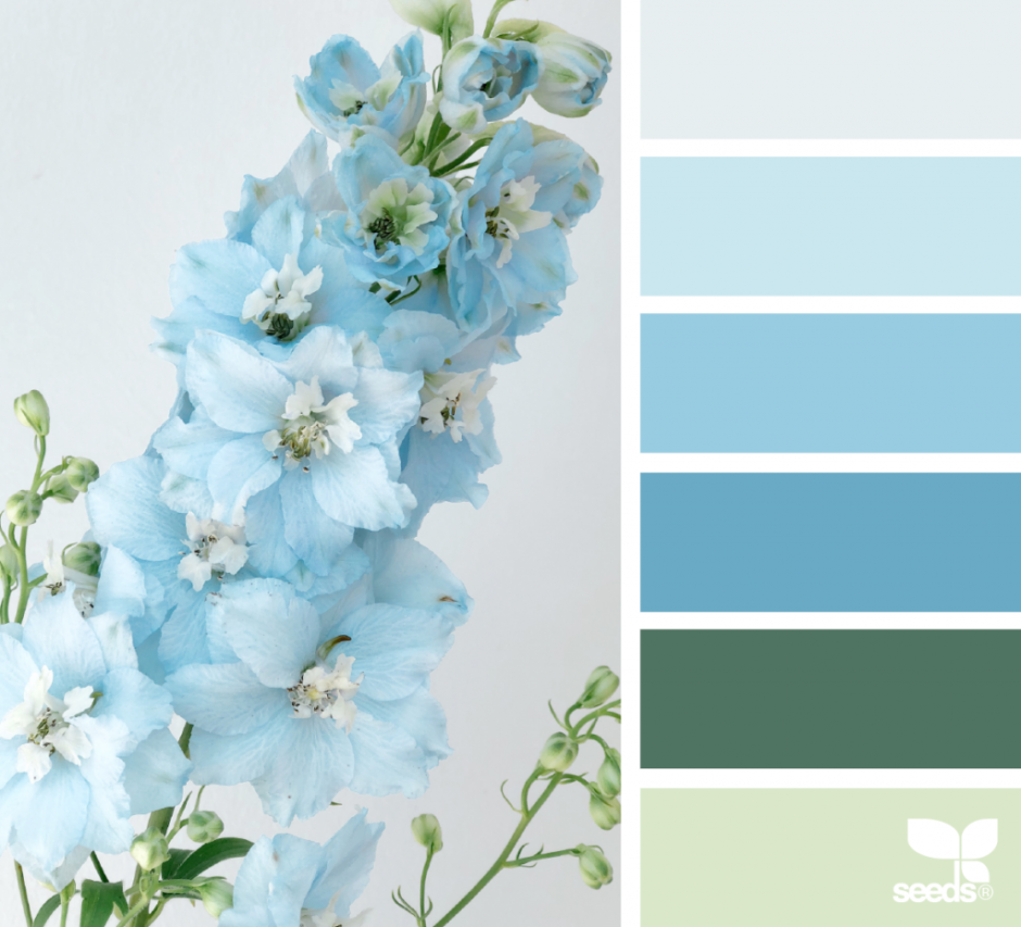 Черничный цвет сочетание