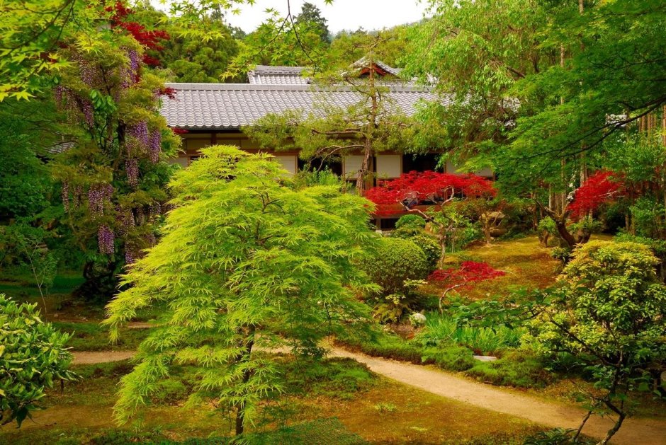 Цветовая гамма японских садов