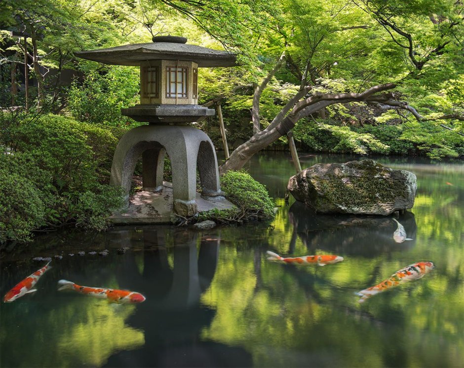 Вода в китайском саду