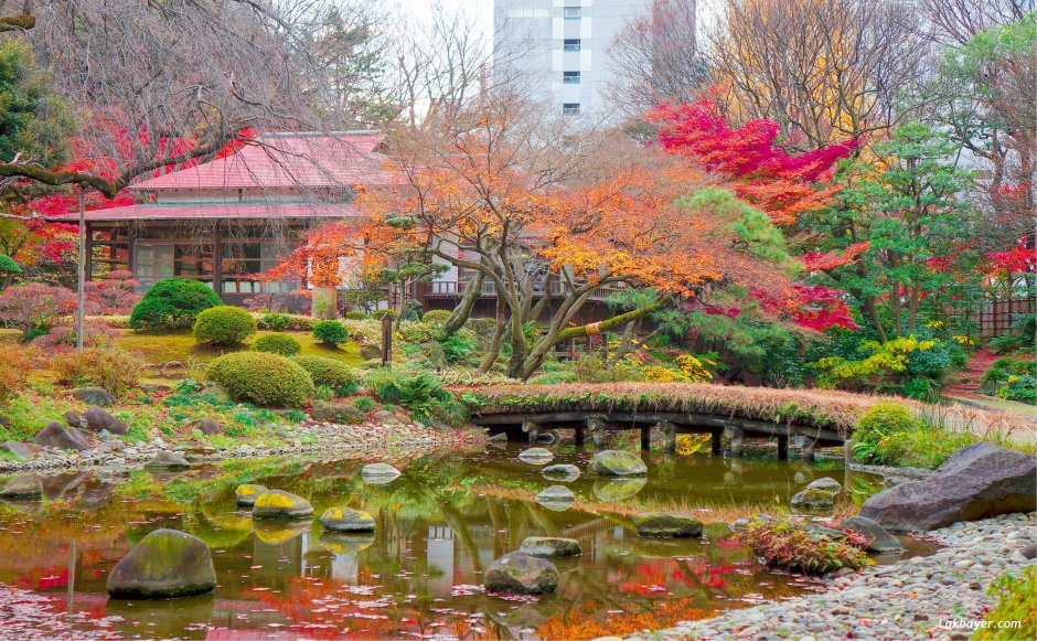 Сад Хаппо-эн в Японии